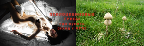 молекула духа Беломорск