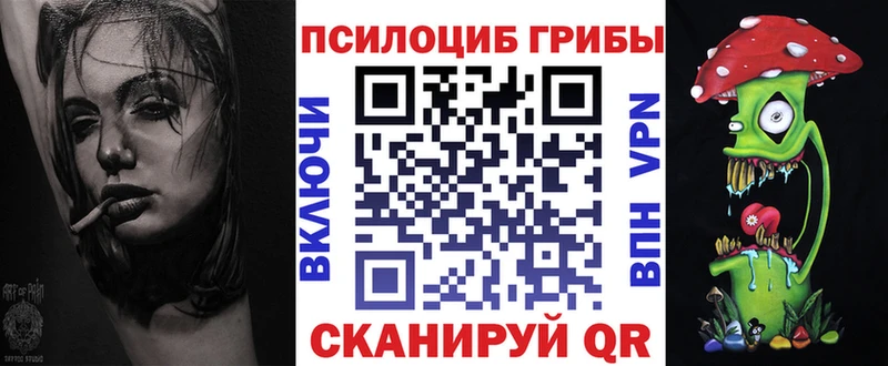 где купить наркотик  shop телеграм  Псилоцибиновые грибы мицелий  Миллерово 